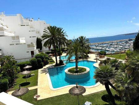 3 Carrer Alemania, Portals Nous, Balearic Islands 07181 - Photo 3