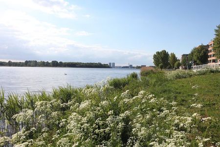 Te huur: Huis Fellinilaan in Almere - Photo 2