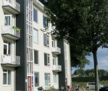Apartment Dordrecht - Reigerstraat - Foto 1
