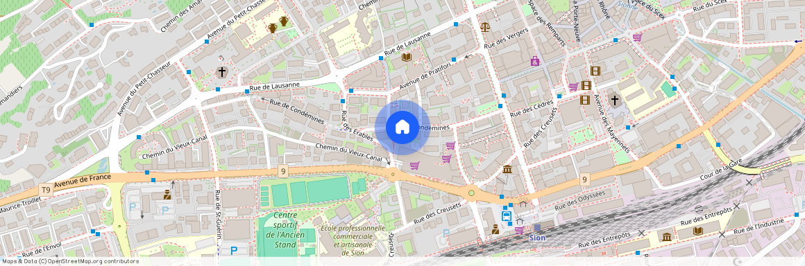 1950, Sion, Rue de Condémines 17, 15