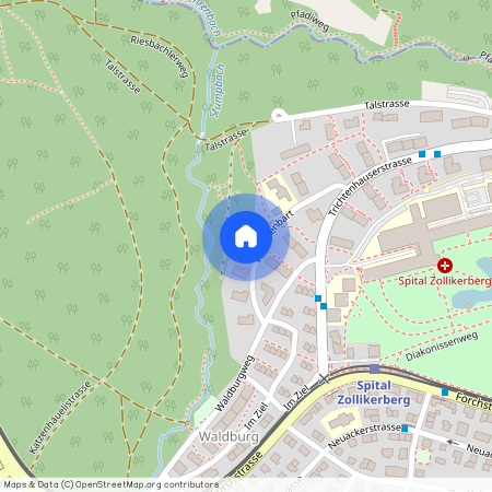 Im Hasenbart 7, 8125 Zollikerberg