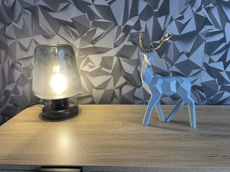 Colocation à BREST - Montaigne 1G - Chambre 3 - Photo 5