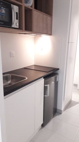 Location Appartement 1 pièce 20m² LYON 7ème - Photo 2