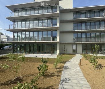 Moderne und lichtdurchflutete Wohnung - Photo 6