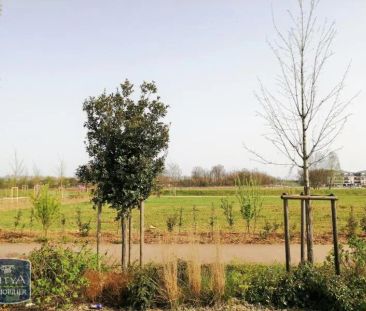 Appartement à louer 3 pièces 66.77m² - Photo 3