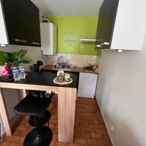 Location Appartement 1 pièce 30m² MONTPELLIER 34090 - Photo 3