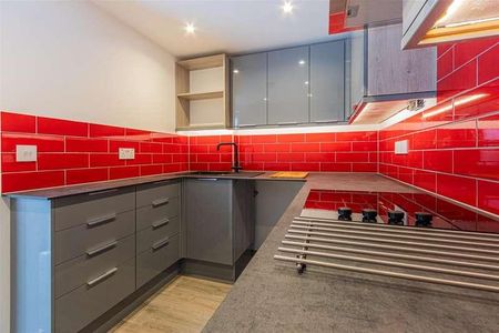 Richards Terrace, Adamsdown, CF24 - Photo 4