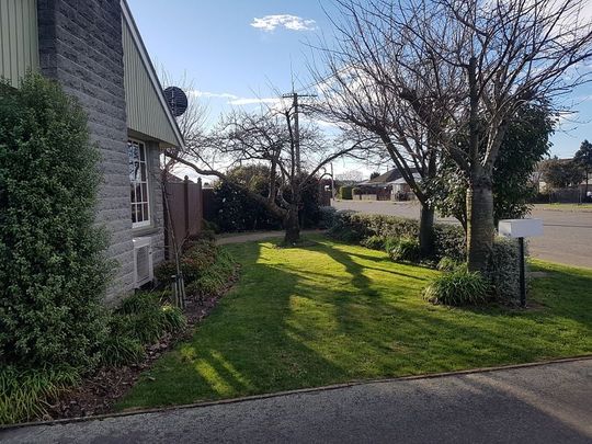 Sunny 3BR Home with garden! - Photo 1