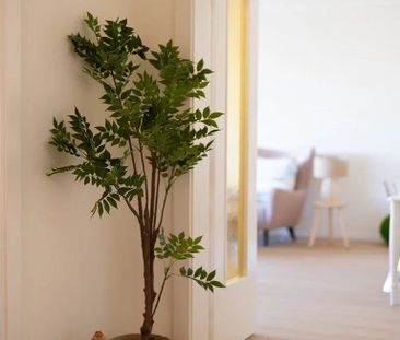 Furnished apartment in the heart of Champel - Photo 3