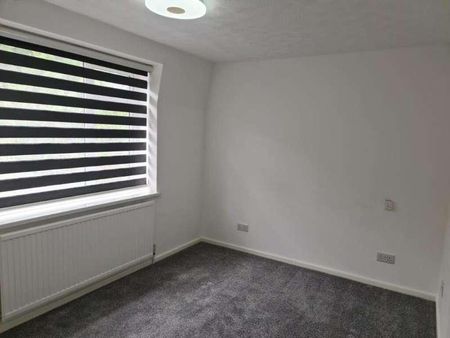 Lower Collapark, Totnes, Devon, TQ9 - Photo 4