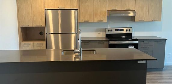1 CH - 1 SDB - Terrebonne - $1,775 /mo - Photo 2