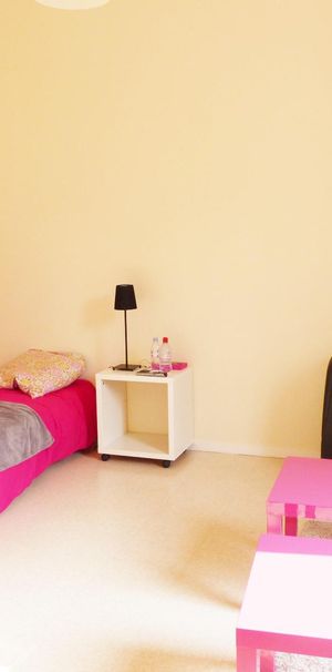 Location Appartement 1 pièce 27m² ANGERS 49100 - Photo 1