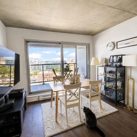 4½ À LOUER – Griffintown (101 rue Peel) – 2400$/mois (2182$ effectif avec 1 mois offert) - Photo 4