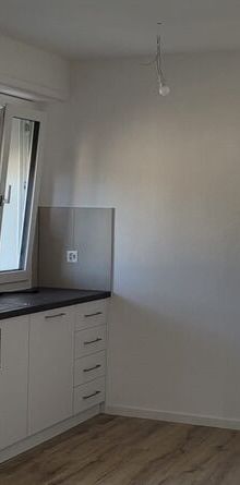 Spacious fully renovated studio with large balcony - Photo 1