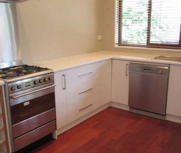 Appealing on Ash - Photo 2