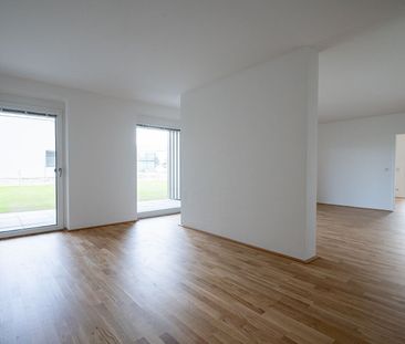 WirtschaftseinheitWIESELBURG-STADT I/2 - Photo 6