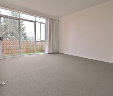 Light-Filled Two-Bedroom Apartment in Kingsville - Photo 3