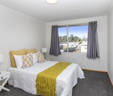 11 Eglinton Street, Avondale - Photo 3