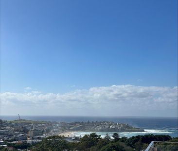 Bondi - Photo 4