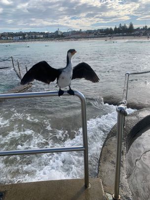 North Bondi - Photo 1