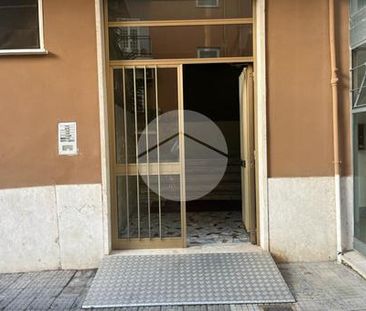 Trilocale in affitto - Photo 2