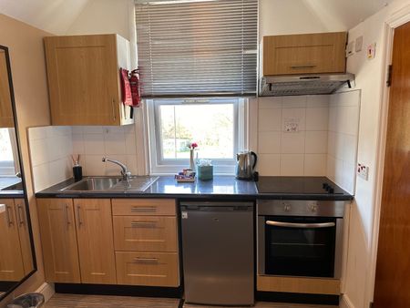 Studio Flat, Green Lanes, N4 - Photo 4