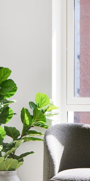 Bo til leje i den fede del af Østerbro - Photo 1