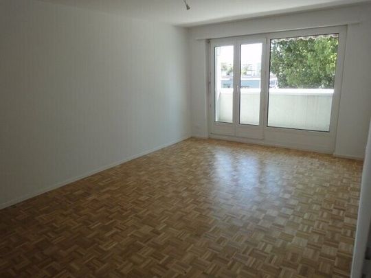 Living next to the Schüssinsel - Vivre près de l'île de la Suze - Photo 1