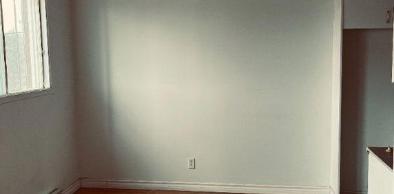 Grand 4 1/2 à louer (janvier) @ Vanier - Photo 2