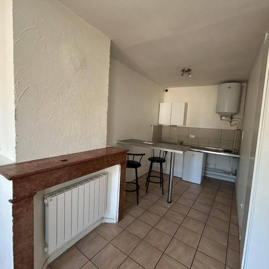 Location appartement 1 pièce 30.6 m² à Vienne (38200) 4 - Photo 1