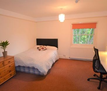 Single room to rent on Norwich Road - Photo 3