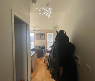 Location Appartement 2 pièces 49m² VILLEURBANNE 69100 - Photo 5