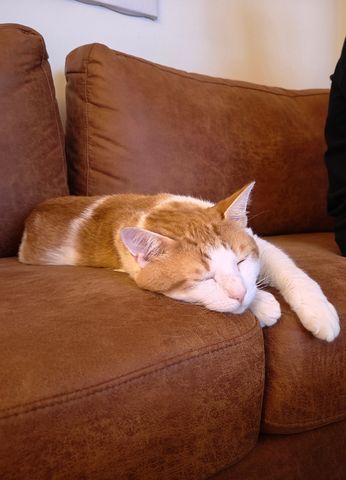 Seville Grove - Photo 2