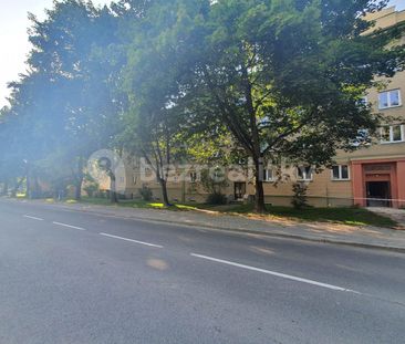 Pronájem bytu 2+kk • 34 m² bez realitkyU Stromovky, Havířov-město, ... - Photo 5