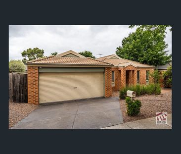 YEAR ROUND COMFORT PLUS TWO LIVING AREAS! - Photo 6