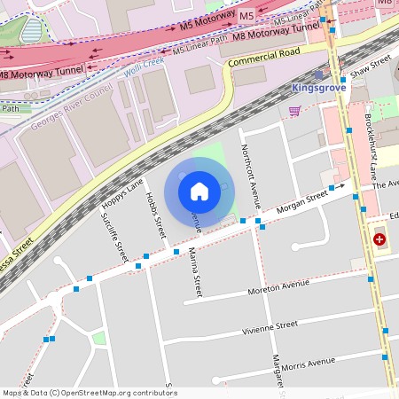 4 Turon avenue, NSW 2208, Kingsgrove