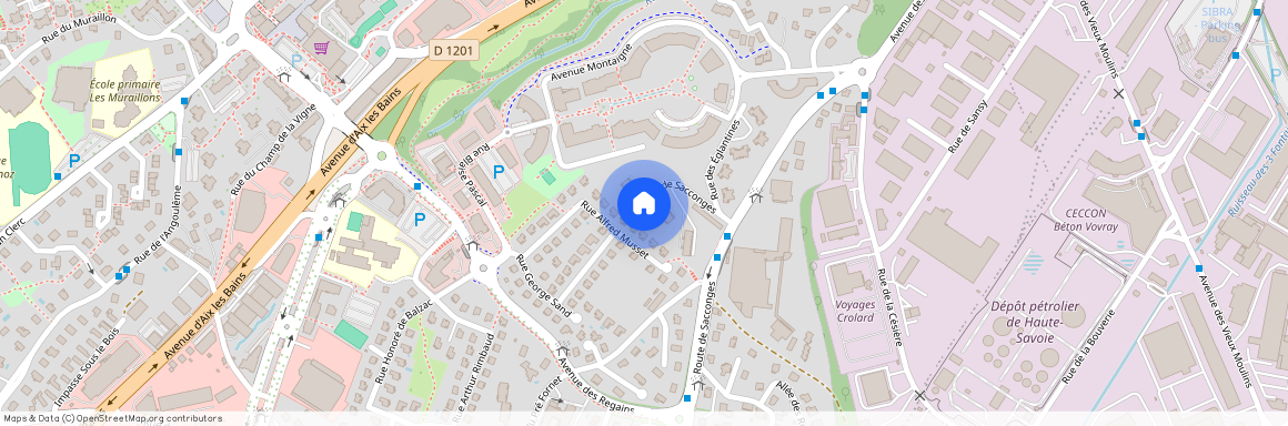 38 route de Sacconges - 74600 SEYNOD