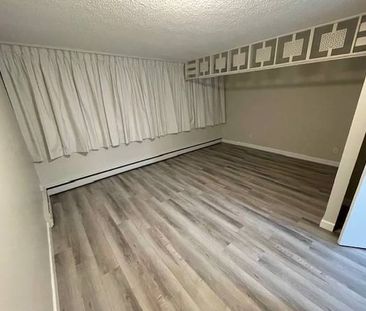 Large Studio for rent - Photo 1