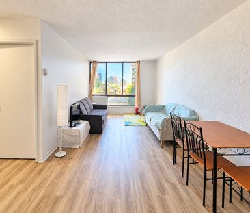 Rue Prince-Arthur O., H2X 3R4, Montréal - Photo 6