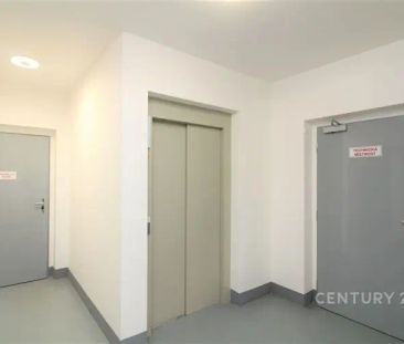 Pronájem bytu se zahrádkou a garážovým stáním - Photo 1