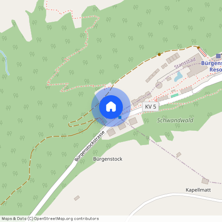 6363, Bürgenstock, Bürgenstock, 1