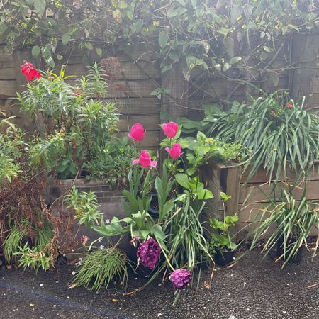 START THE NEW YEAR IN STYLE - Photo 2