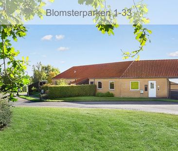 Afd. 22 Blomsterparken - Photo 5