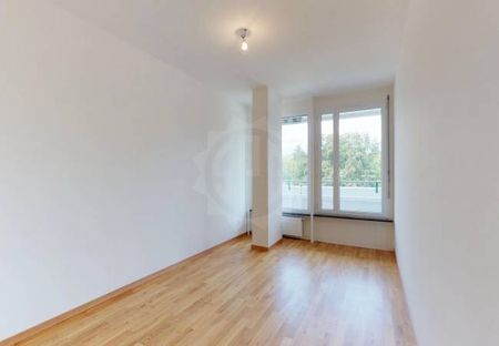 Bel Appartement - Genève - Photo 4