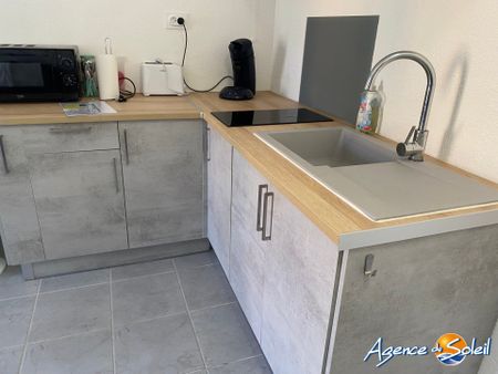 Location Appartement 2 pièces 23m² LE BARCARES 66420 - Photo 3