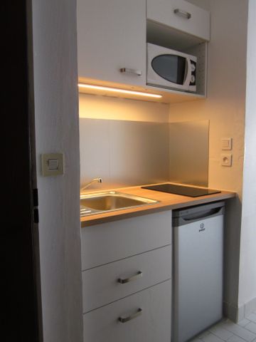 Location Appartement 1 pièce 19m² DIJON 21000 - Photo 2