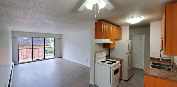 Metrotown 1 Bedroom (Top Floor) Available NOW - Photo 2