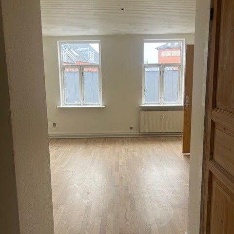 Frederiksgade 20A 1. TV 7800 Skive - Photo 1