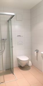 Erzenbergstrasse 51, Liestal - Photo 3