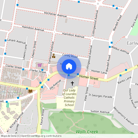 14/313A Homer Street, Earlwood 2206, New South Wales